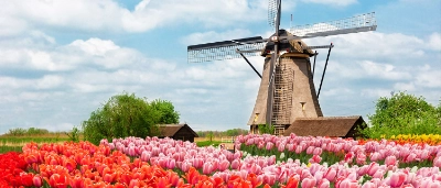 Netherland_Cindy