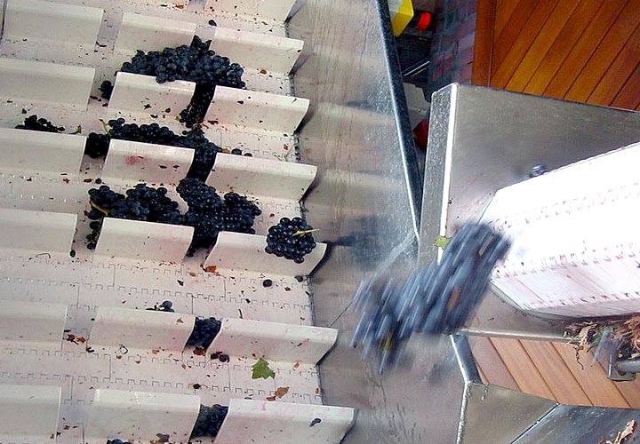 conveyor belts for wine industry